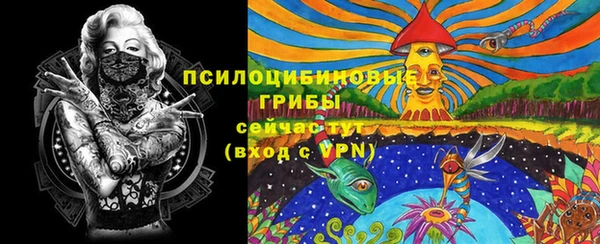 тгк Бородино